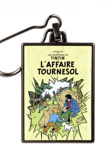 42543 - de zaak zonnebloem