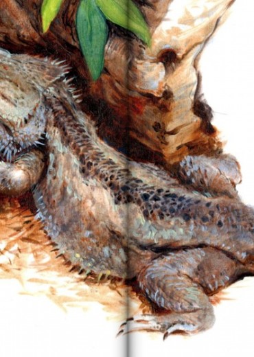 sketch box 5 stripweb 4