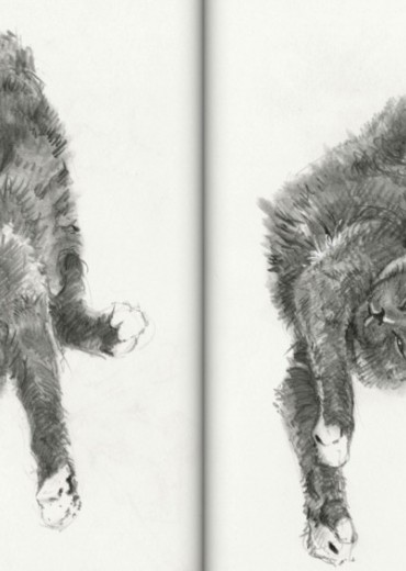 sketch box 5 stripweb 3