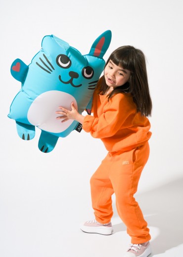 bunny kussen stripweb 2