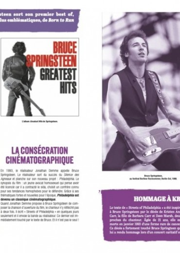 bruce springsteen stripweb 3