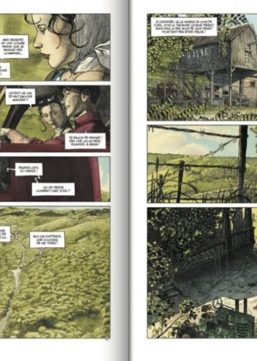 rockabilly stripweb 3