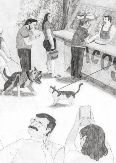 el-gato-special-1-stripweb-3