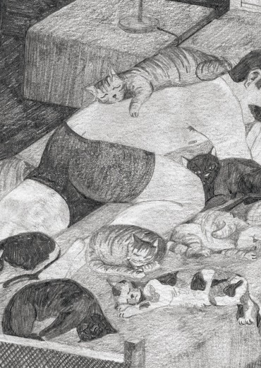 el-gato-special-1-stripweb-1