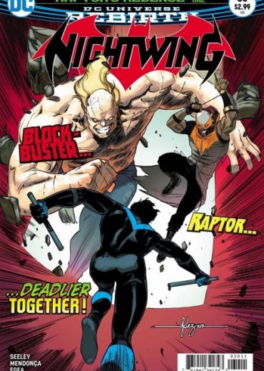 nightwing30