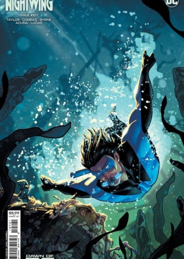 nightwing107