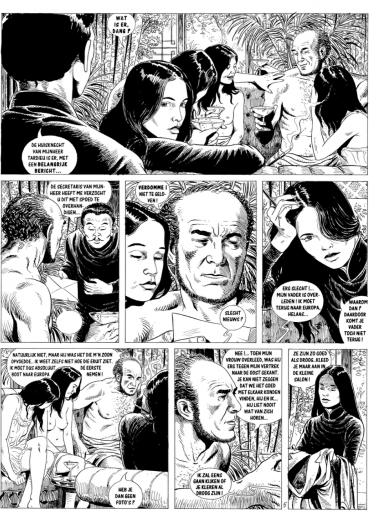 BERGBLOEMPJE STRIPWEB 1