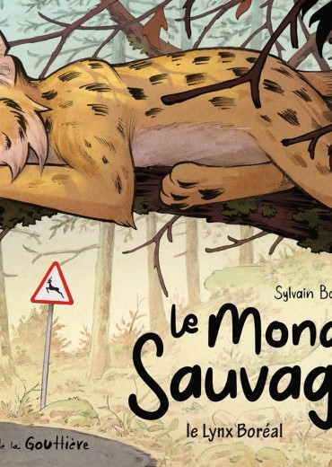 91q4Vc2k4-L._SL1500_