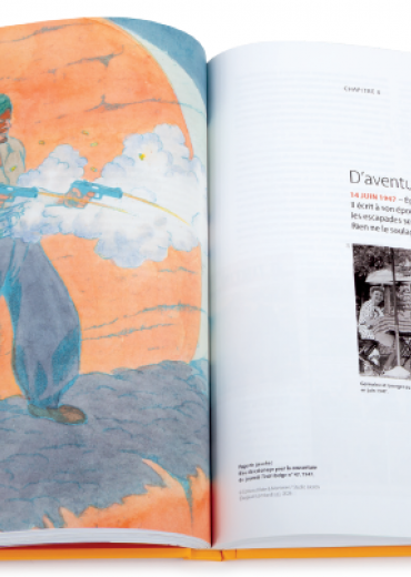 du duo au duel tintin stripweb 1