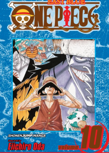 ONE PIECE 10 STRIPEB