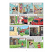 de kiekeboes 170 stripweb 2
