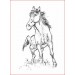 hermann-artbook-stripweb-paarden-1