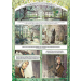 lente in de charite stripweb1
